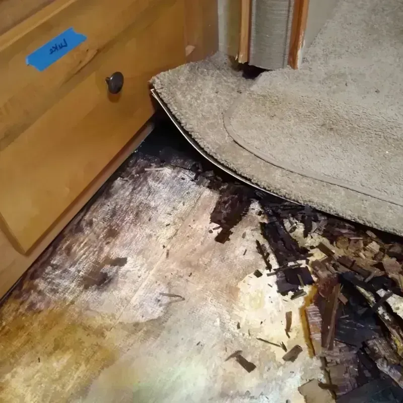 Wood Floor Water Damage in Avalon, CA